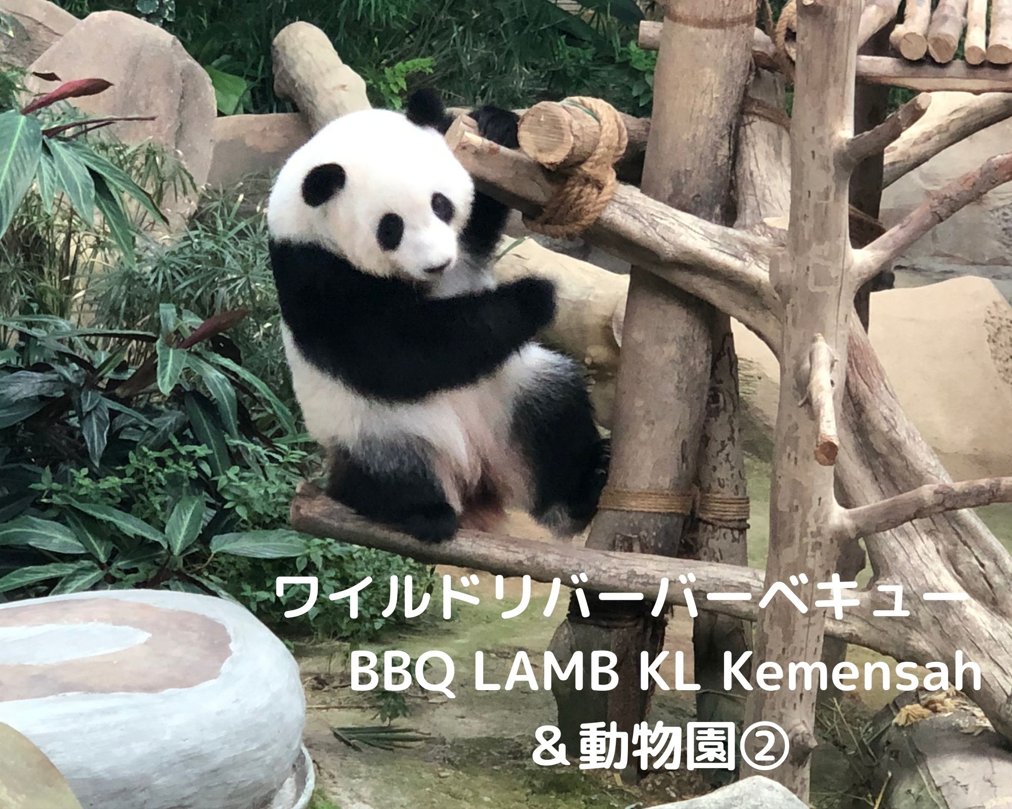 クアラルンプール近郊 川の中でバーベキュー q Lamb Kl Kemensah とマレーシア国立動物園 Mytra マイトラ マレーシア在住主婦のブログ