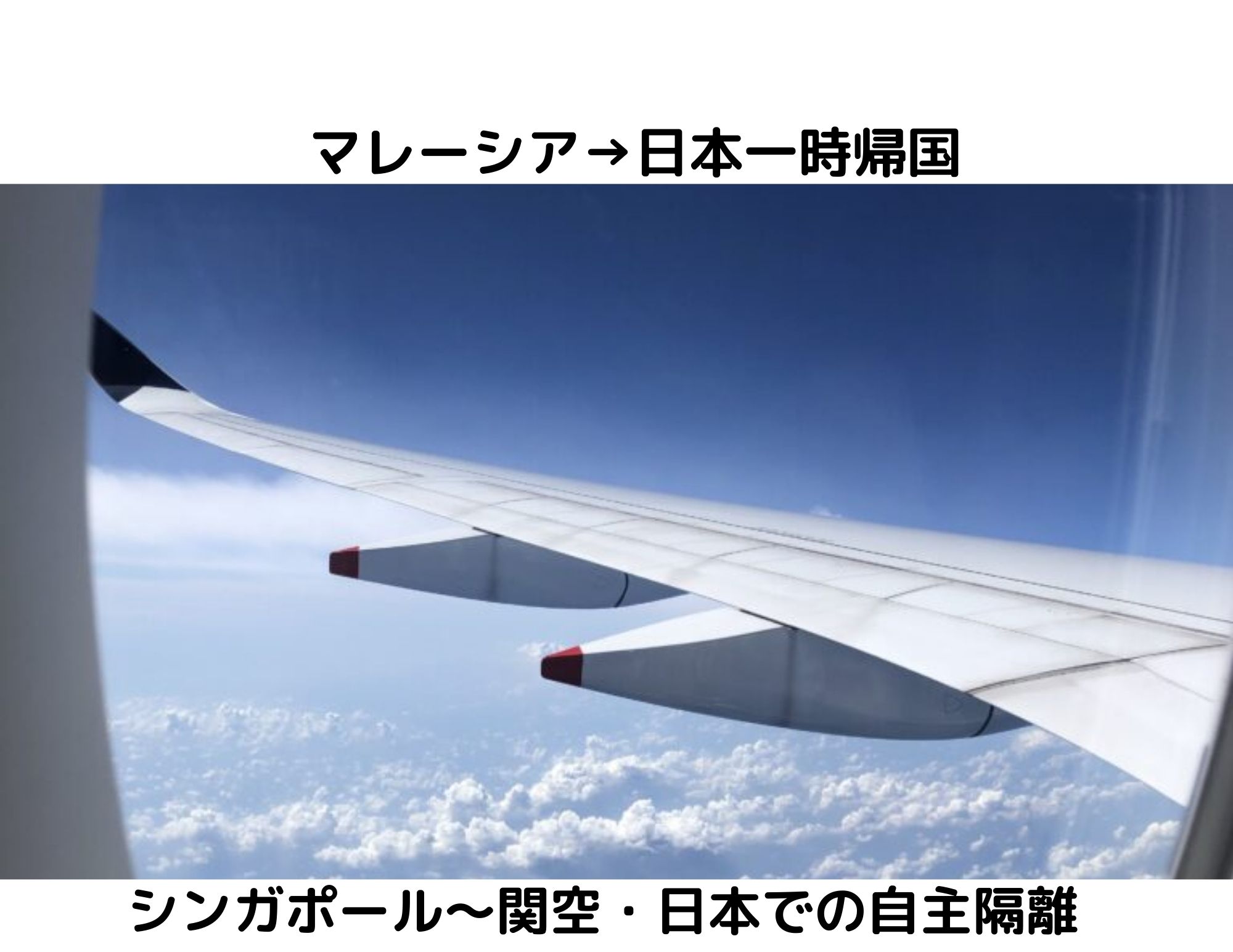 マレーシア 日本一時帰国 シンガポール 関空 日本での自主隔離 久しぶりの日本滞在で感じたこと Mytra マイトラ マレーシア在住主婦のブログ マレーシア 日本一時帰国 シンガポール 関空 日本での自主隔離 久しぶりの日本滞在で感じたこと Mytra マイトラ マレーシア在住主婦のブログ